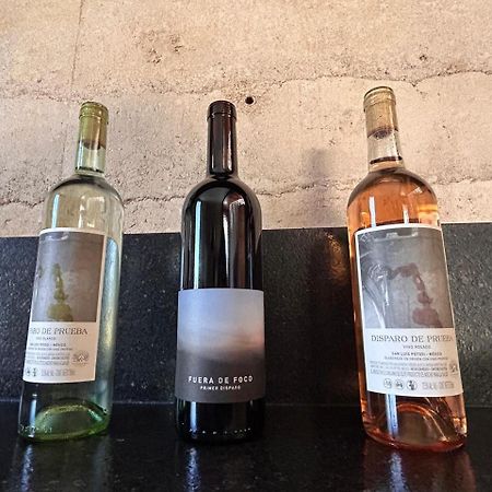 산루이스포토시주 Choza Vinedo Bodega 1881 게스트하우스 외부 사진