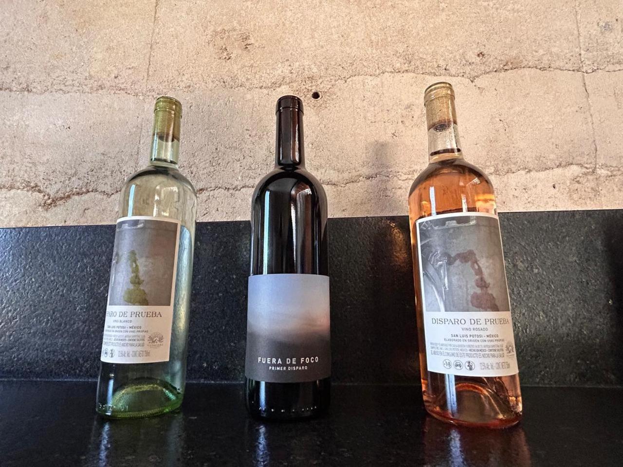 산루이스포토시주 Choza Vinedo Bodega 1881 게스트하우스 외부 사진